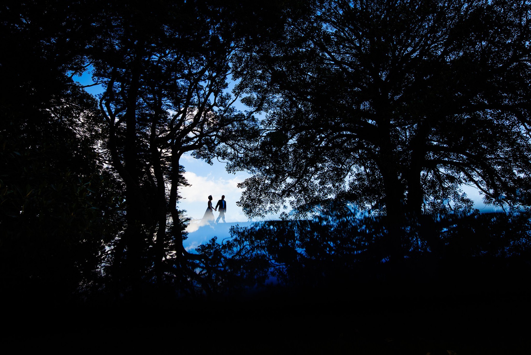 forrest, dark, wedding, outdoor, nature, photography, blue, silhouette
